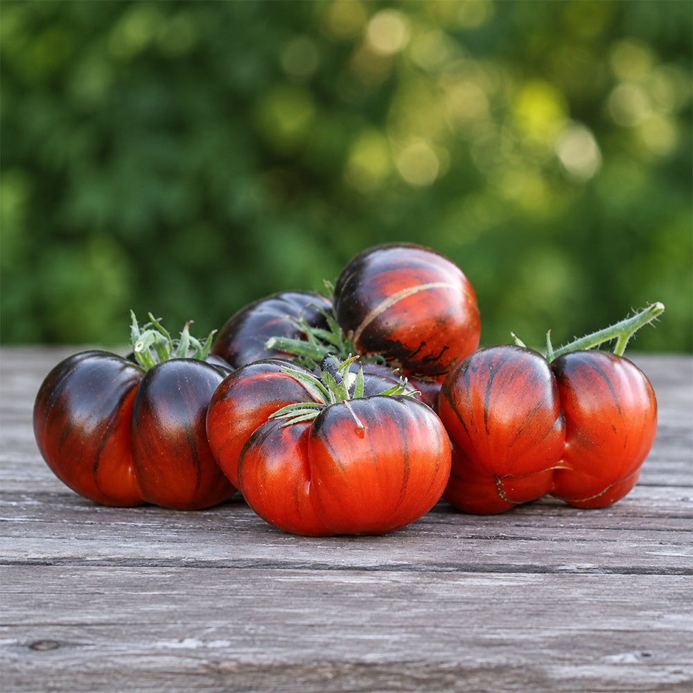 146 Red Beauty Tomato