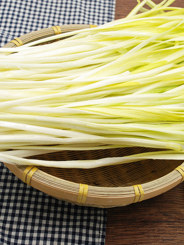 Huangxiangjiuwang Yellow Chives