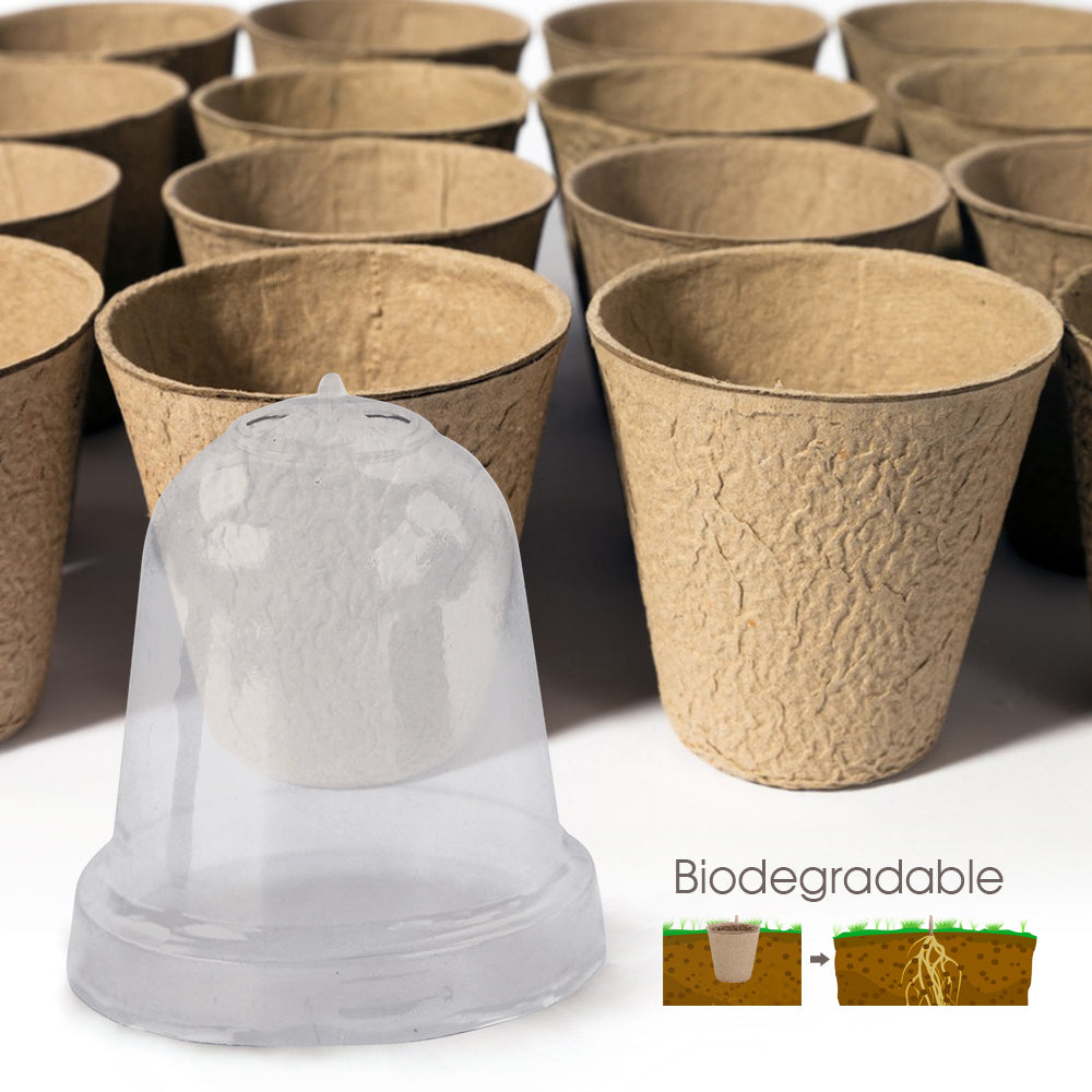 120x60MM Biodegradable Nursery Seedling Cups with Transparent Humidity Dome Cover
