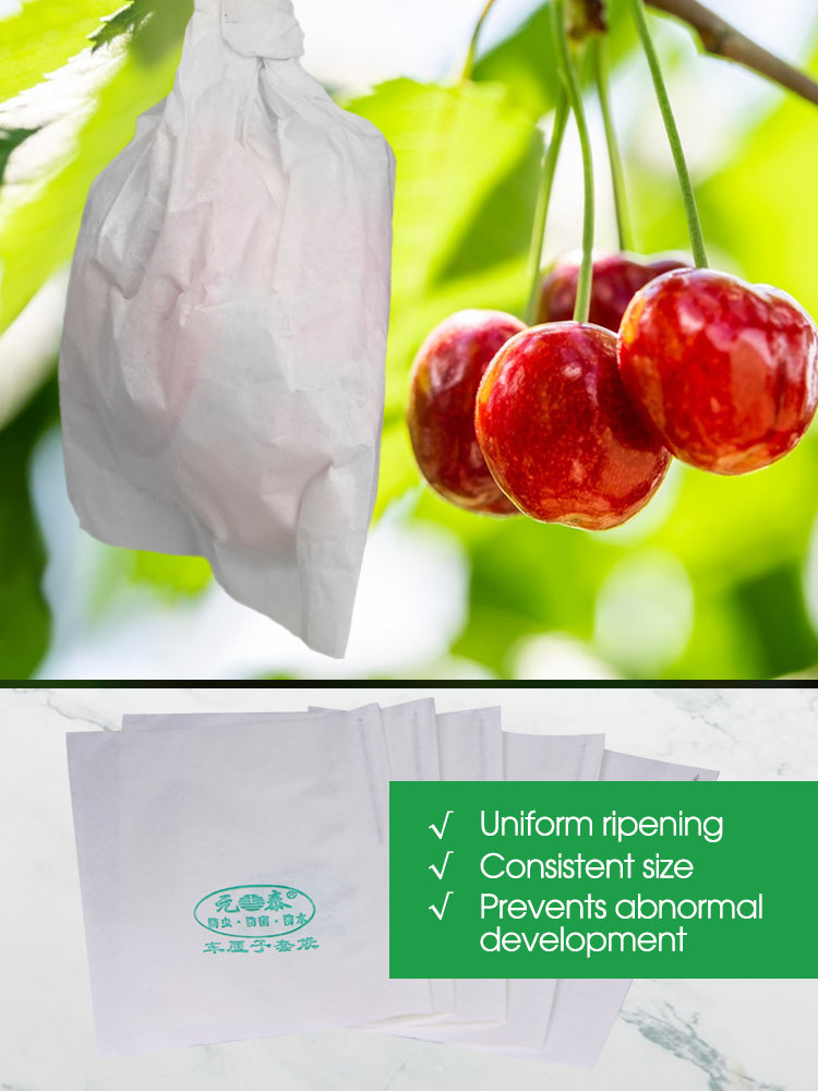 N259 Cherry Protection Papper Bags