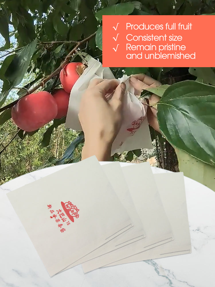 N260 Persimmons Protection Papper Bags