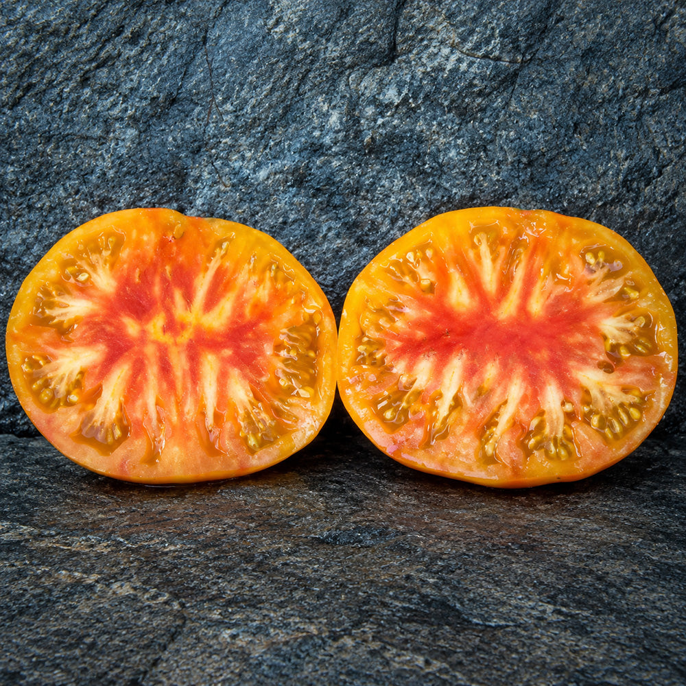 95 Dwarf Big Orange Stripe Tomato