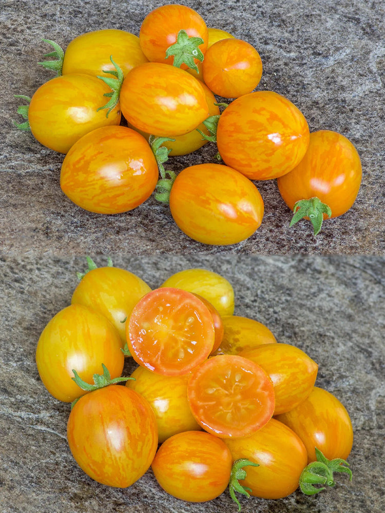 'Tigerette Cherry Yellow' Tomato