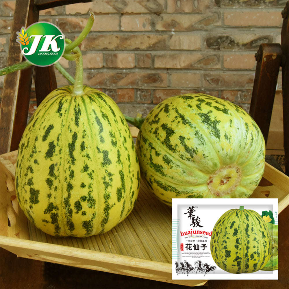 5 Bags (50 Seeds / Bag) of 'Flower Fairy' Melon Seeds, Hybrid F1 Aromatic Sweet Melon