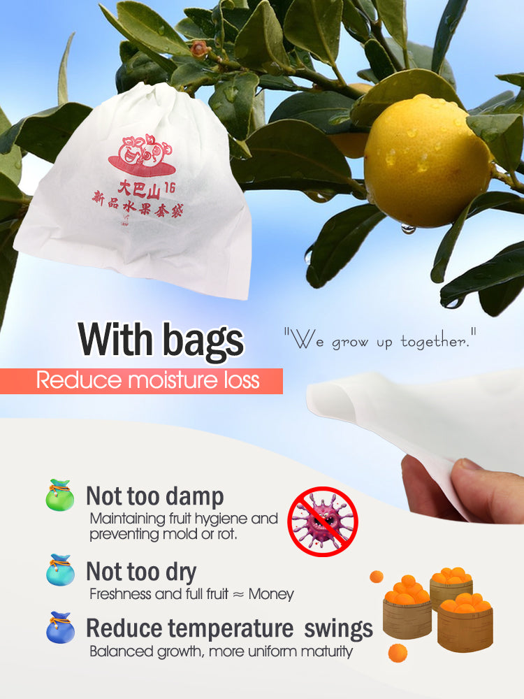 N260 Persimmons Protection Papper Bags