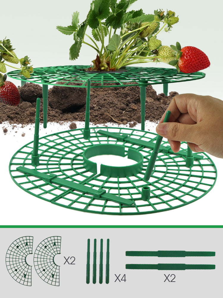N221 Strawberry Growing Holder