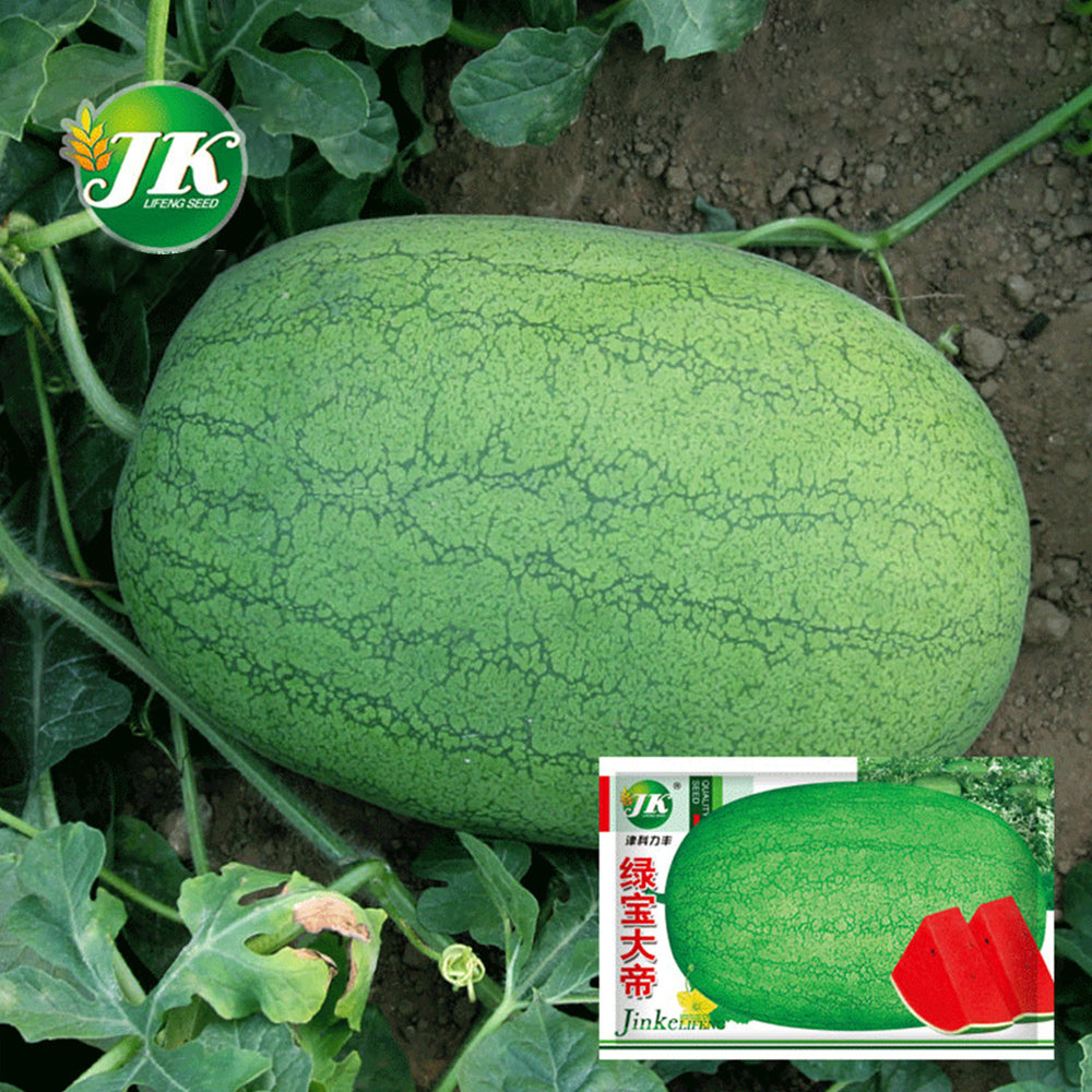 5 Bags (50 Seeds / Bag) 'Green Emperor' Watermelon Seeds