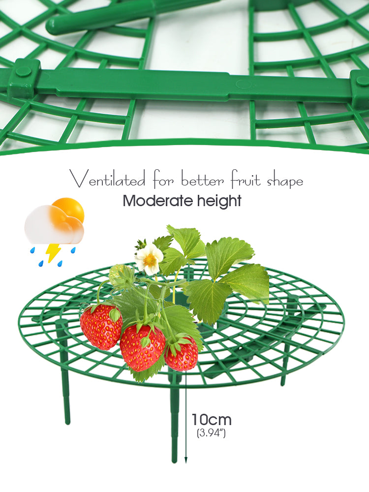 N221 Strawberry Growing Holder