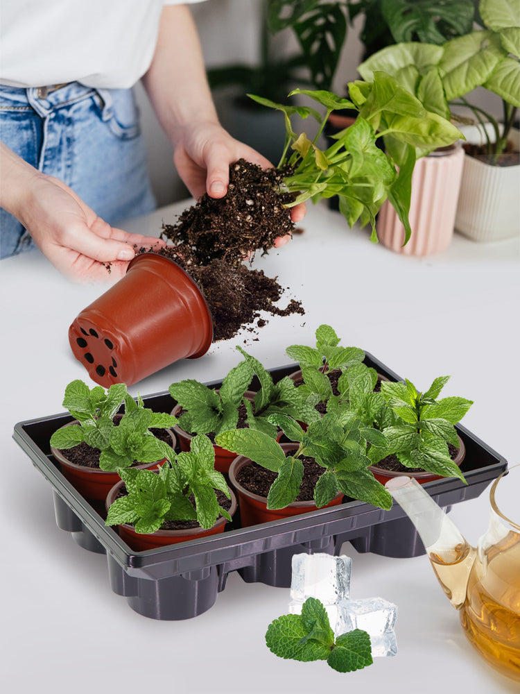 N295 Nursery Cup Tray Kits