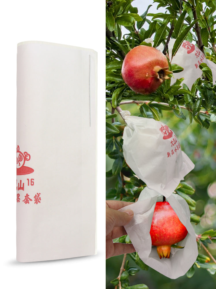N260 Persimmons Protection Papper Bags
