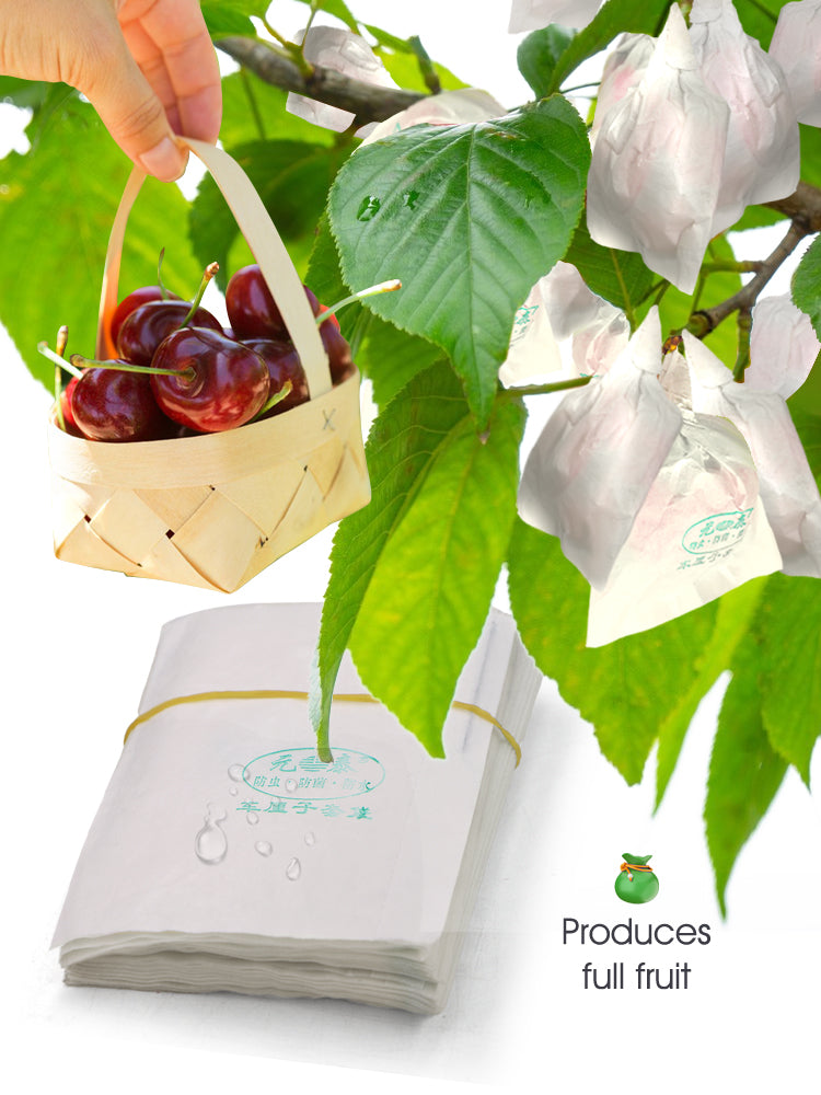 N259 Cherry Protection Papper Bags