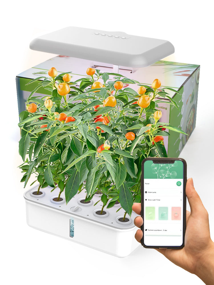 N243 WiFi Hydroponics System