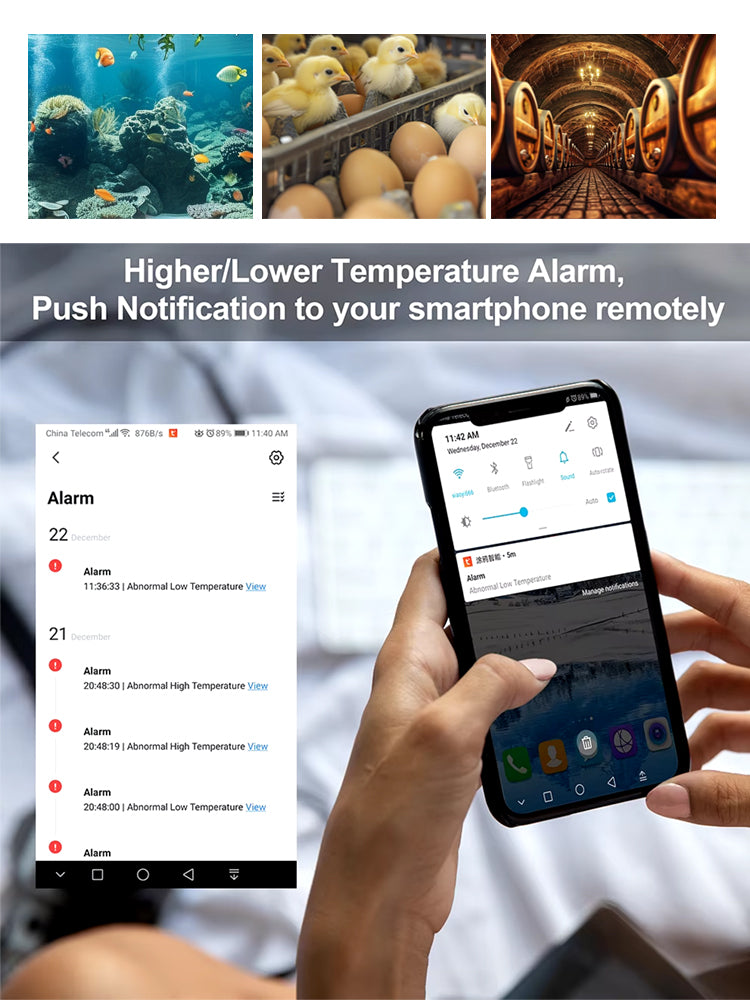 N289 WiFi Temperature Controller