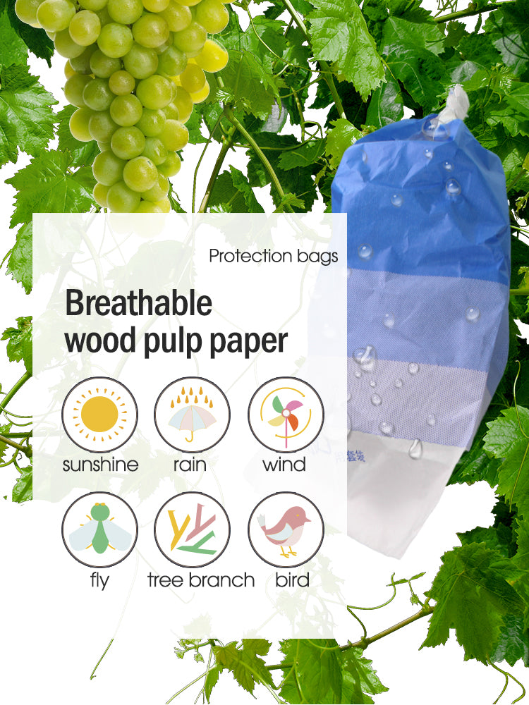 N258 Grape Protection Papper Bags