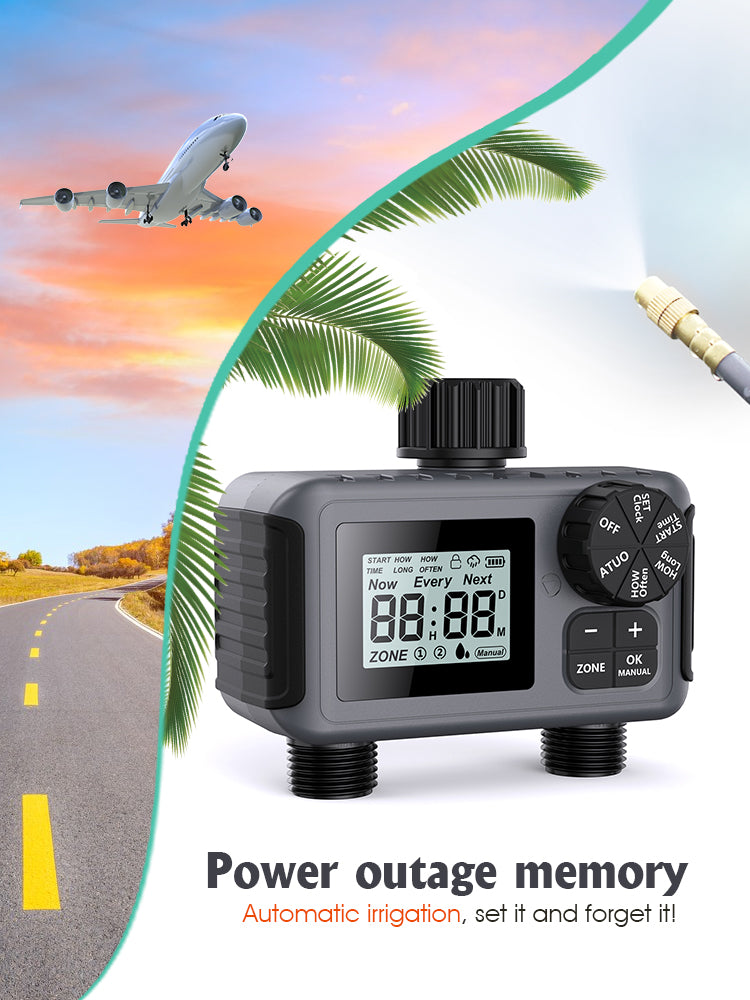 N181 Timer, 2-Way