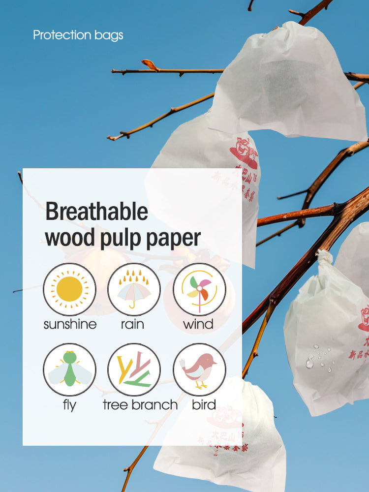 N260 Persimmons Protection Papper Bags