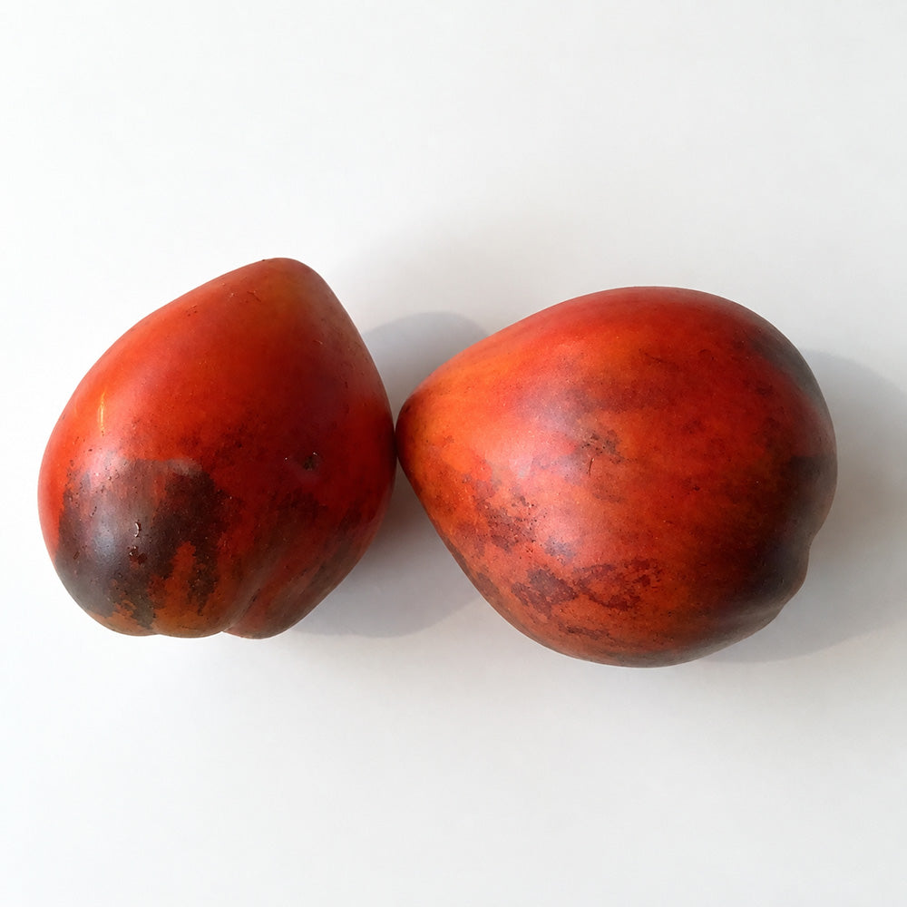 550 Vater Rhein Blue Tomato