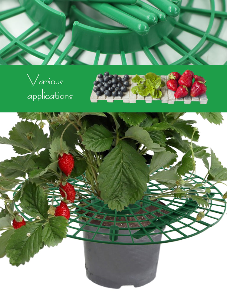 N221 Strawberry Growing Holder