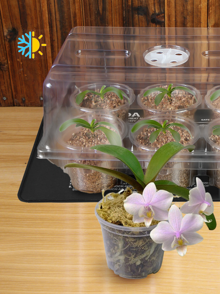 N293 Nursery Cup Tray Kits