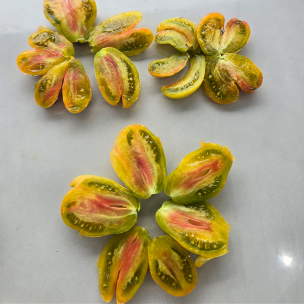 695 Phil's Tri-Color Tomato