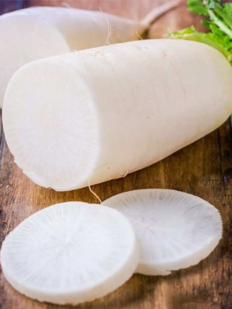 Jiujinyu White Radish
