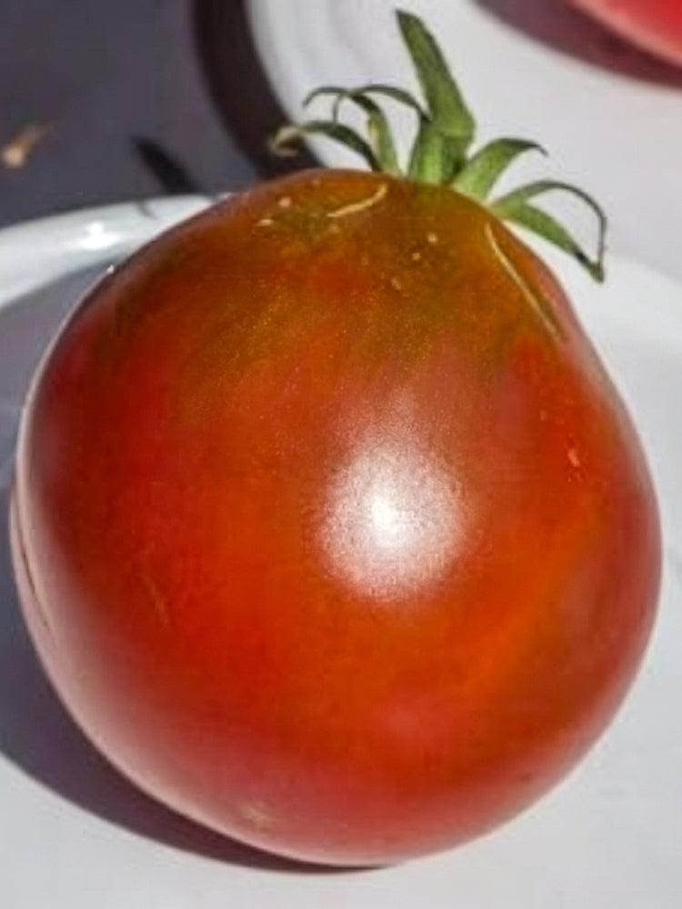 899 Bedouin Tomato