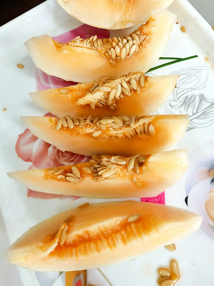 Caidu Jinyu No.12 F1 Melon