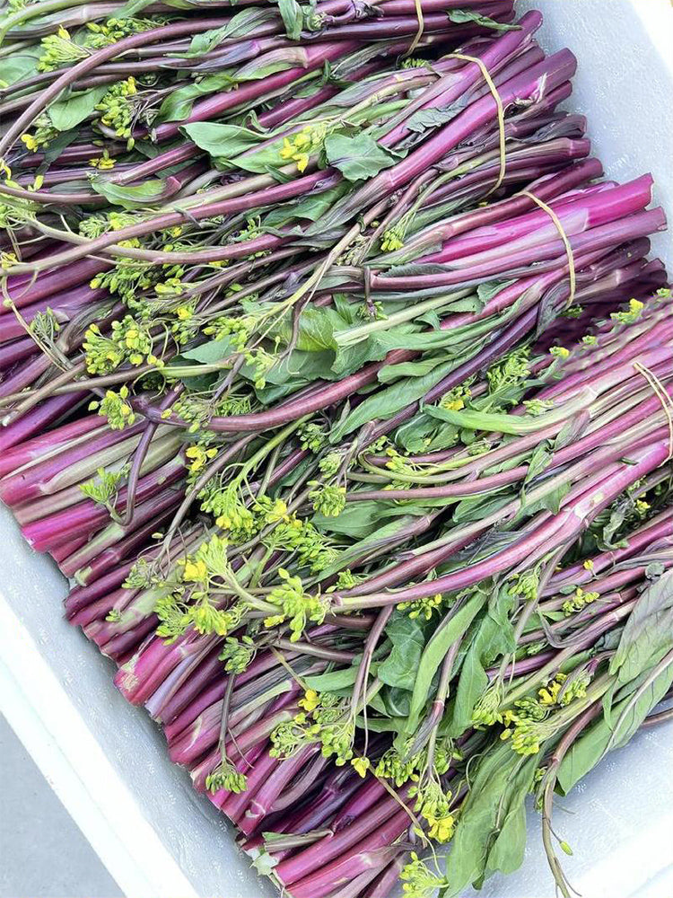Xishuai Purple Stem Mustard