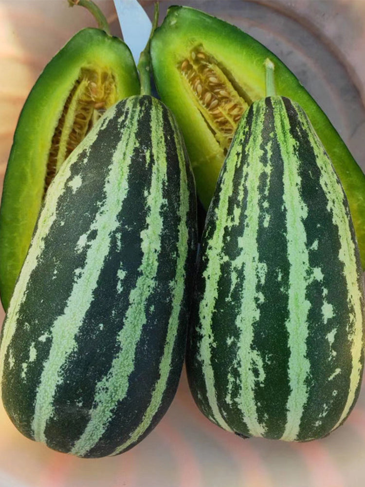 Extremely Sweet Melon
