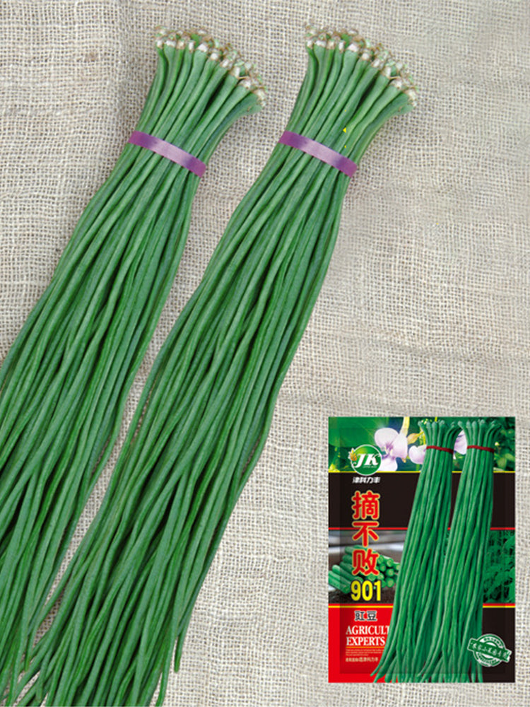 Continuously Harvestable 901 Yardlong Beans