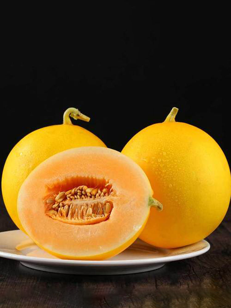 Hongyu Sweet Melon
