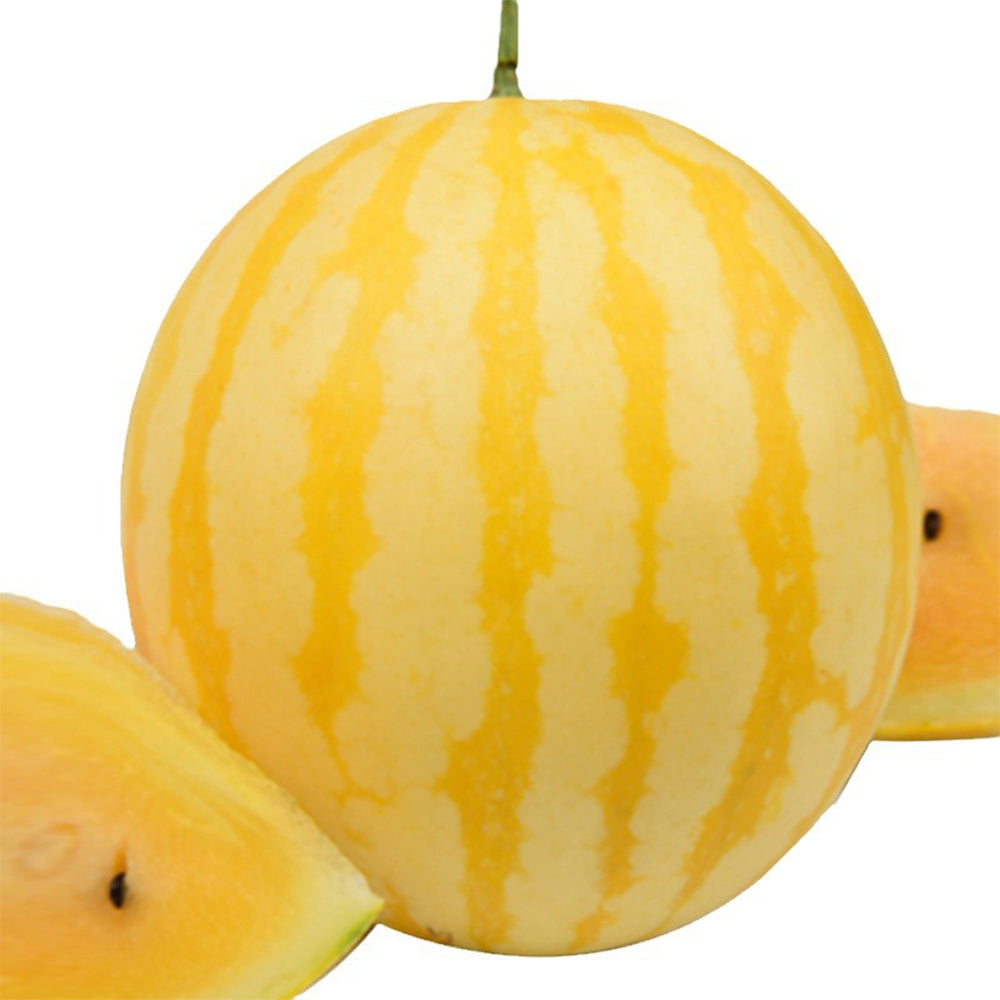 5 Bags (20 Seeds / Bag) of 'Golden Baby' Watermelon Seeds