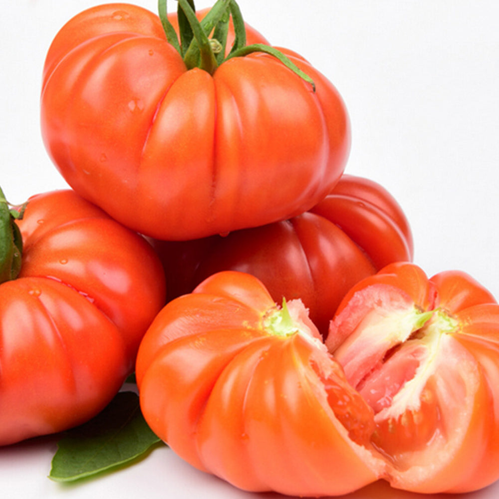 Homegrown Delights: 5 Bags of 'Beefsteak' Series Beefmaster Tomato Seeds