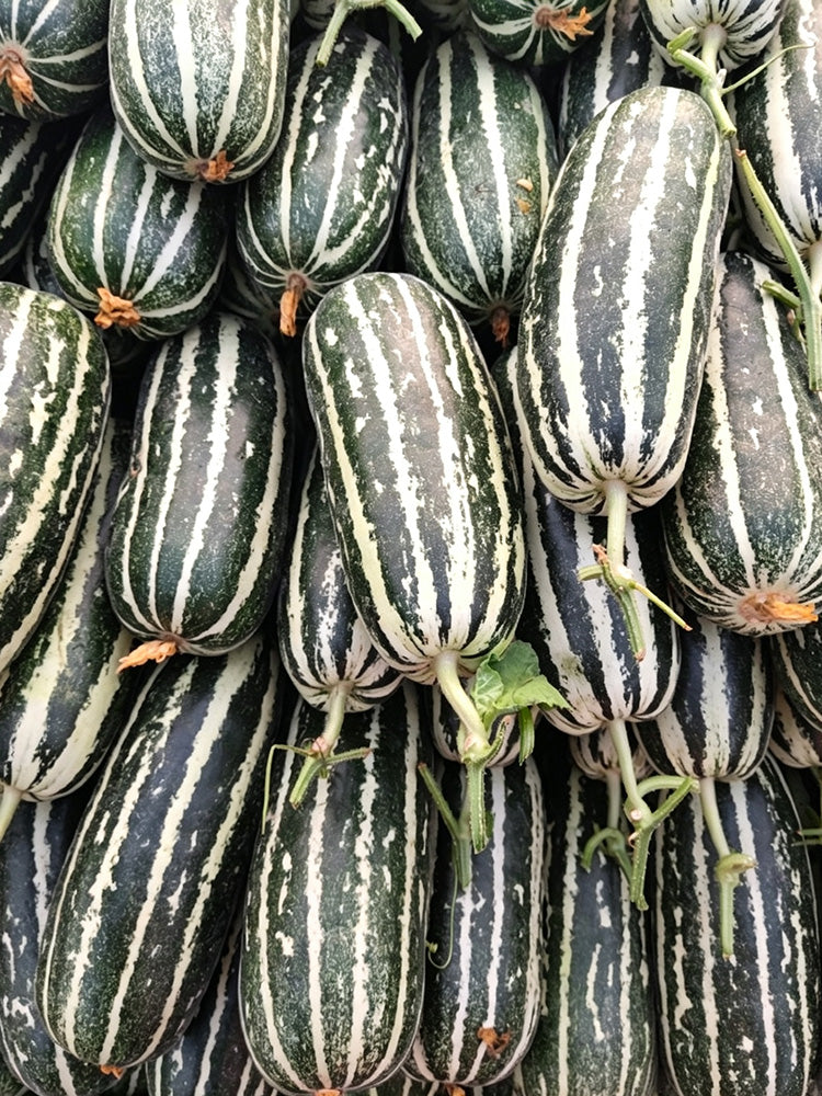 'Boyang No.9' Sesame Honey Melon