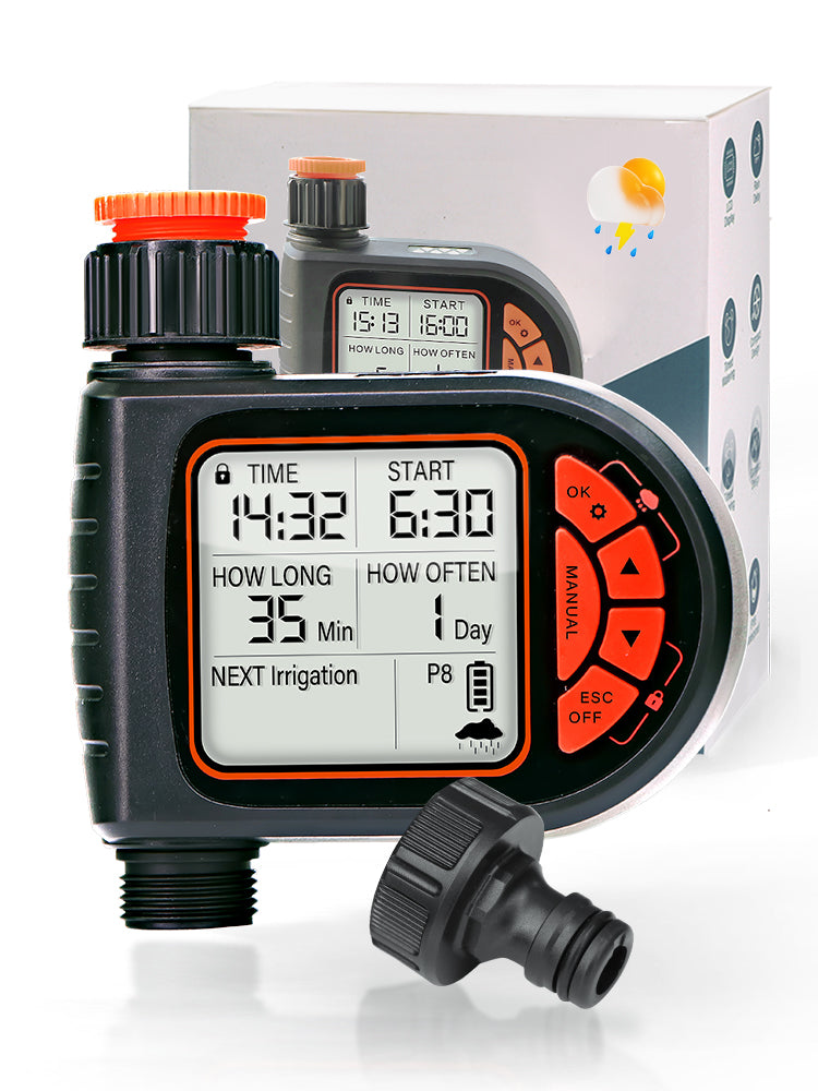N198 Second-accurate LCD Timer