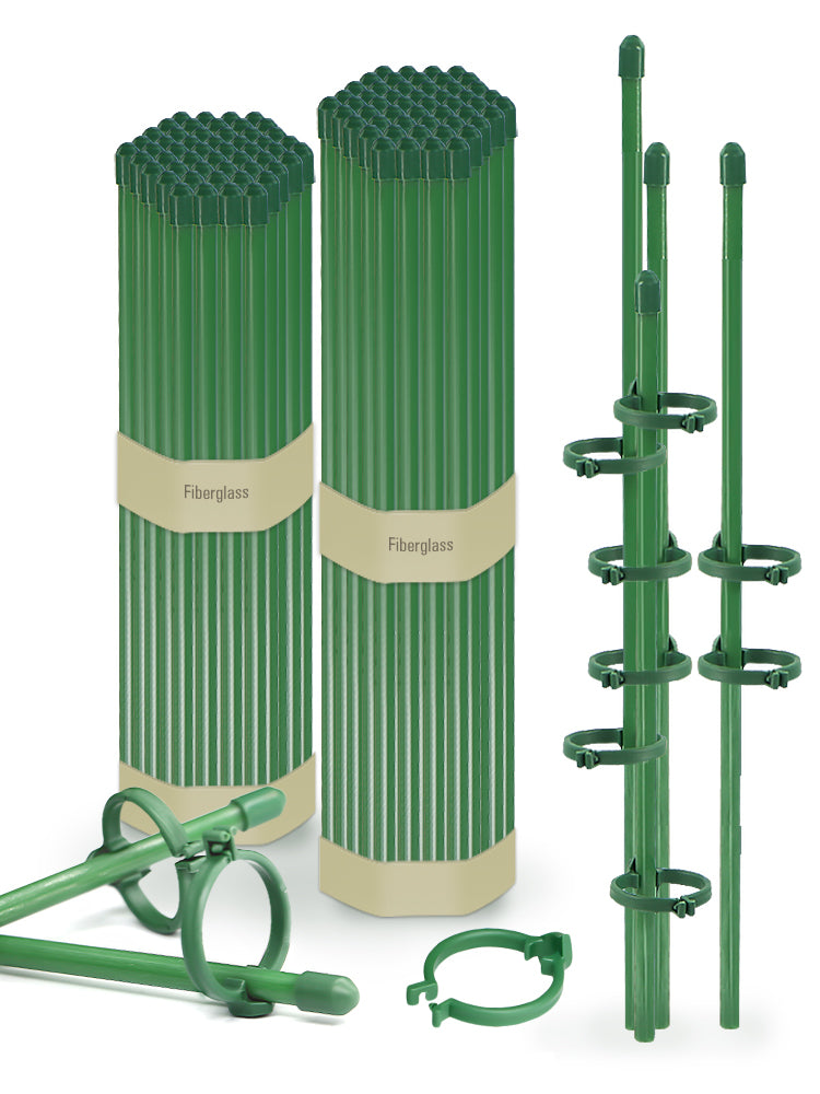 N241 Orchid Support Stakes