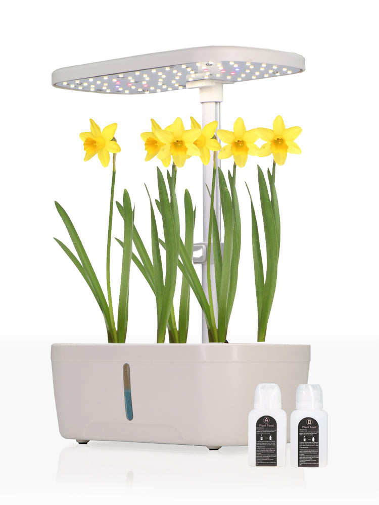 N247 Hydroponic System, 6-Pod
