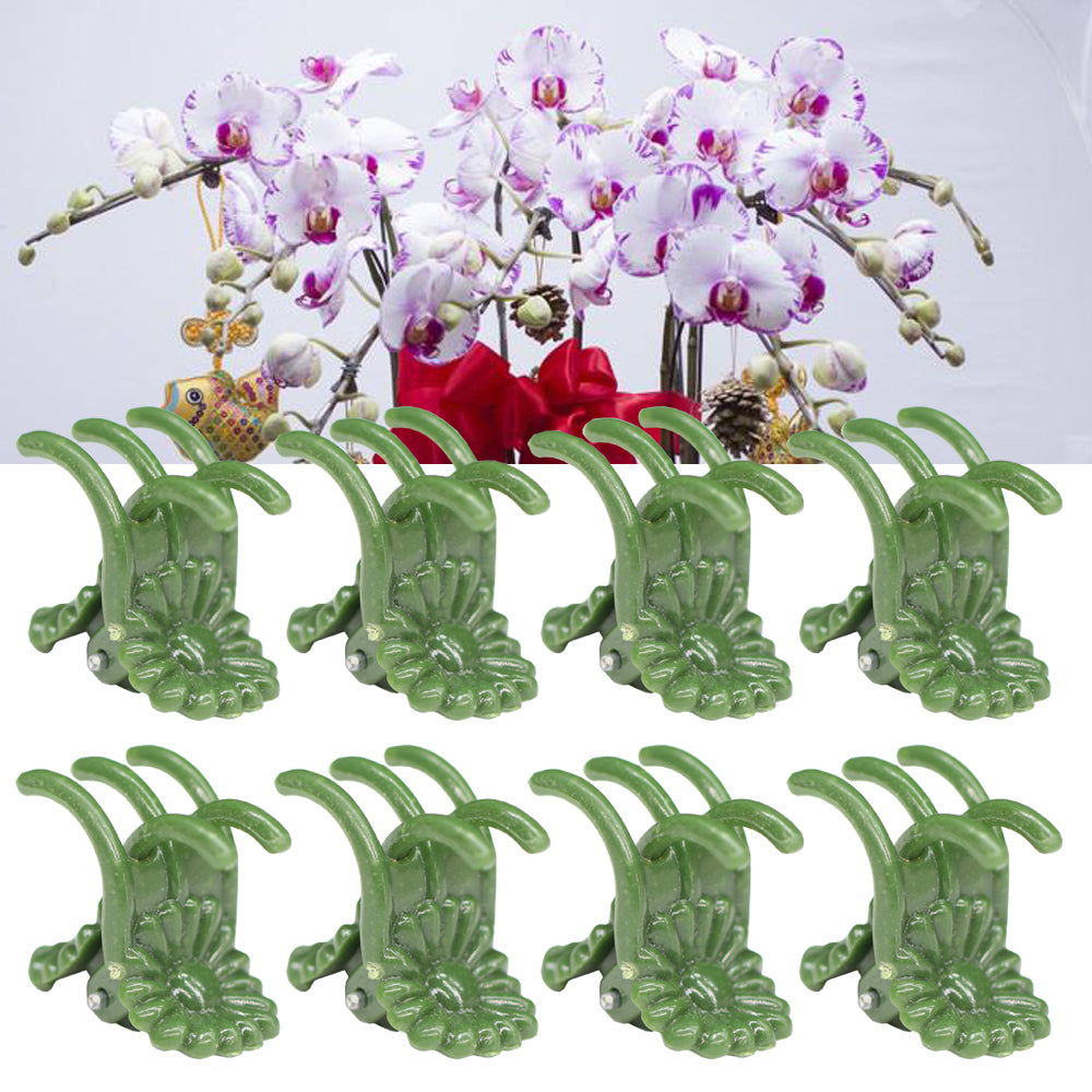 100PCS 5-Claw Army Green Phalaenopsis Orchid Plant Clips