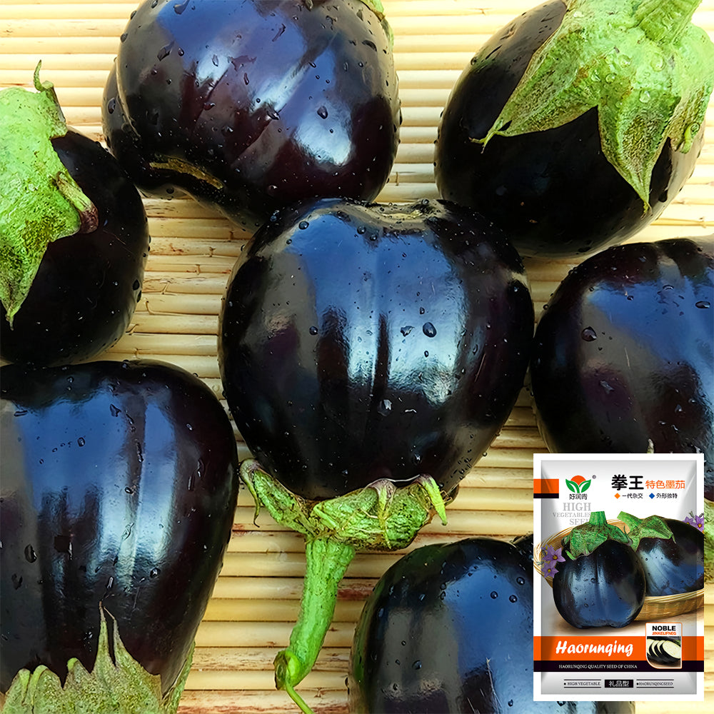 5 Bags (200 Seeds/Bag) of Black Beauty Eggplant Seeds
