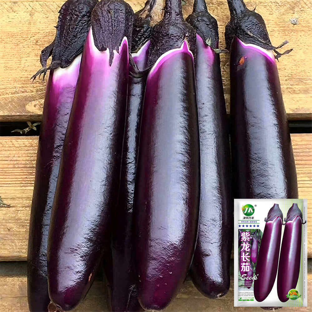 5 Bags (400 Seeds/Bag) of 'Purple Dragon' Long Eggplant Seeds