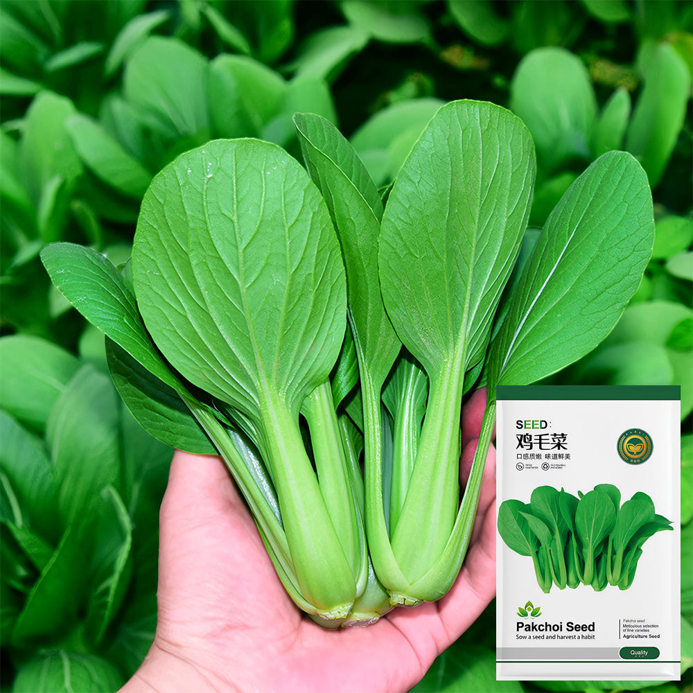 Jingyan® Organic Pak Choi Seeds