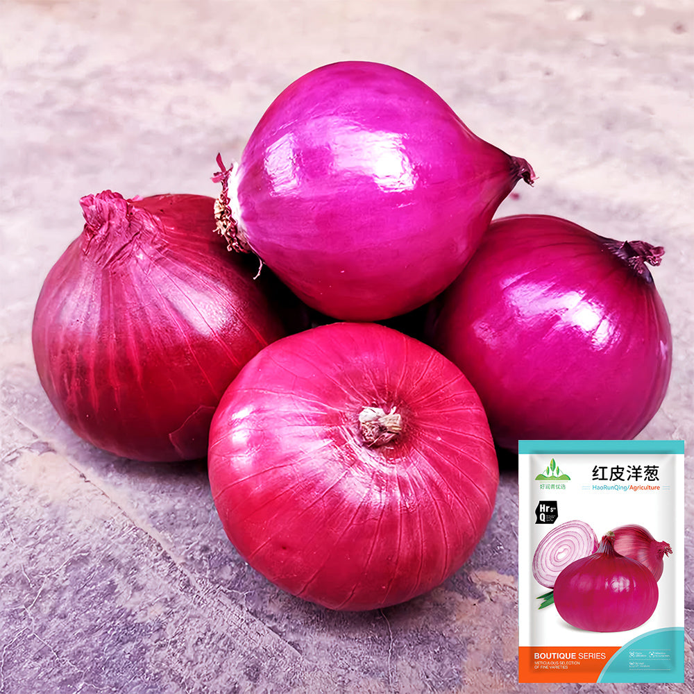 5 Bags (500 Seeds/Bag) of Exquisite Red Onion Seeds