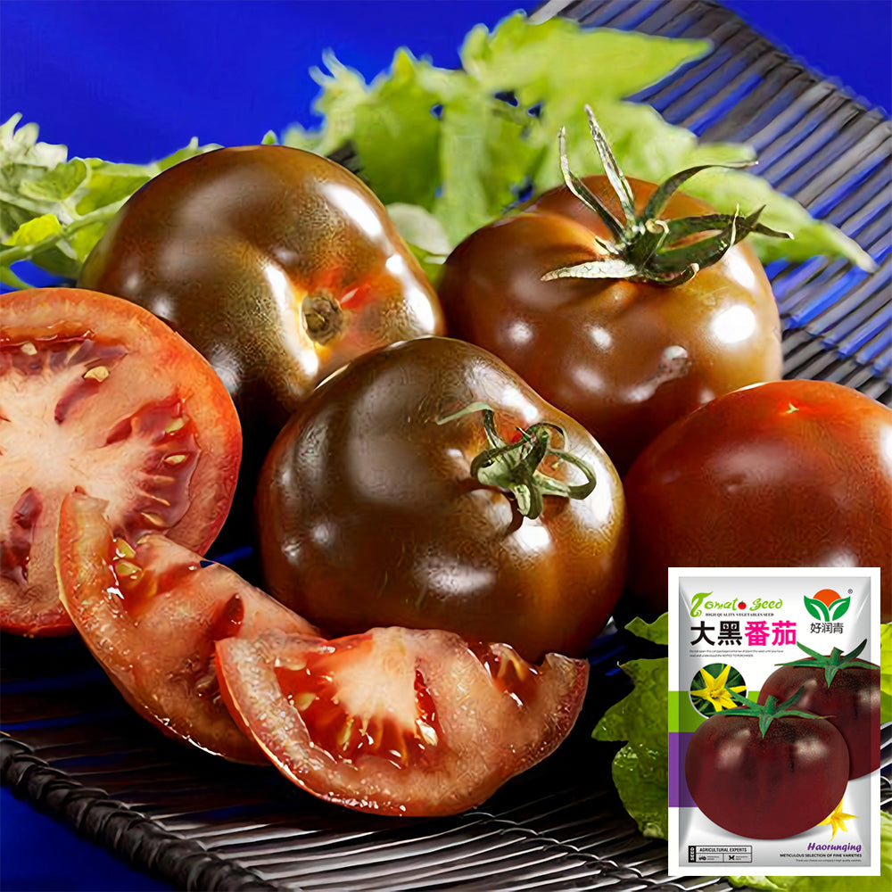 Cultivate Curiosity: 5 Bags (100 Seeds / Bag) of 'Daheiren' Black Tomatoes