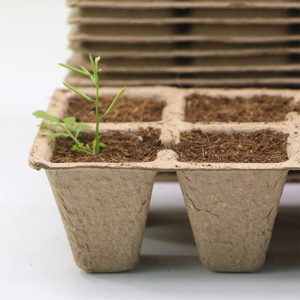 Peat Pots 10-Cell Seed Starting Tray, Pack of 10