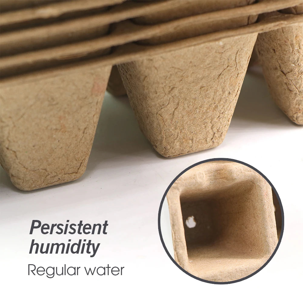 Peat Pots 10-Cell Seed Starting Tray, Pack of 10