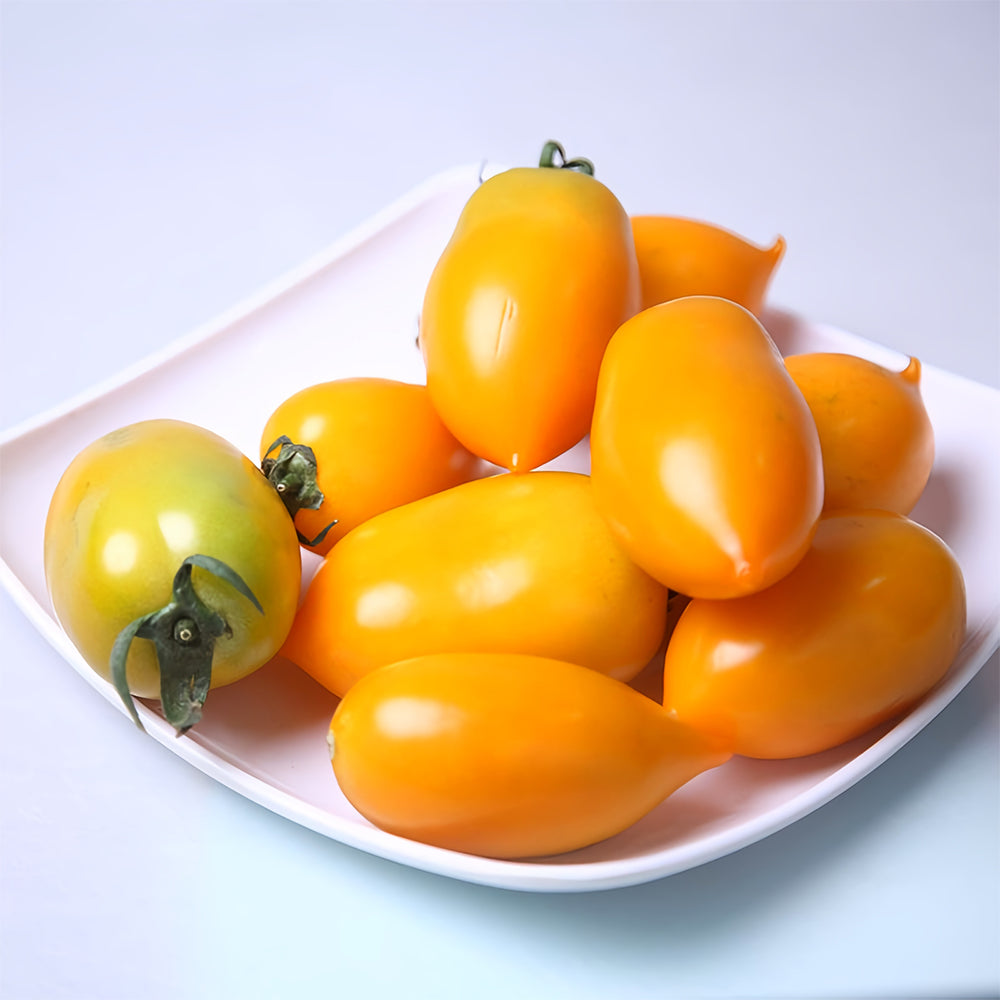 Sunshine Symphony: 5 Bags (200 Seeds/Bag) of 'Radiant Gold' Yellow Tomato Seeds