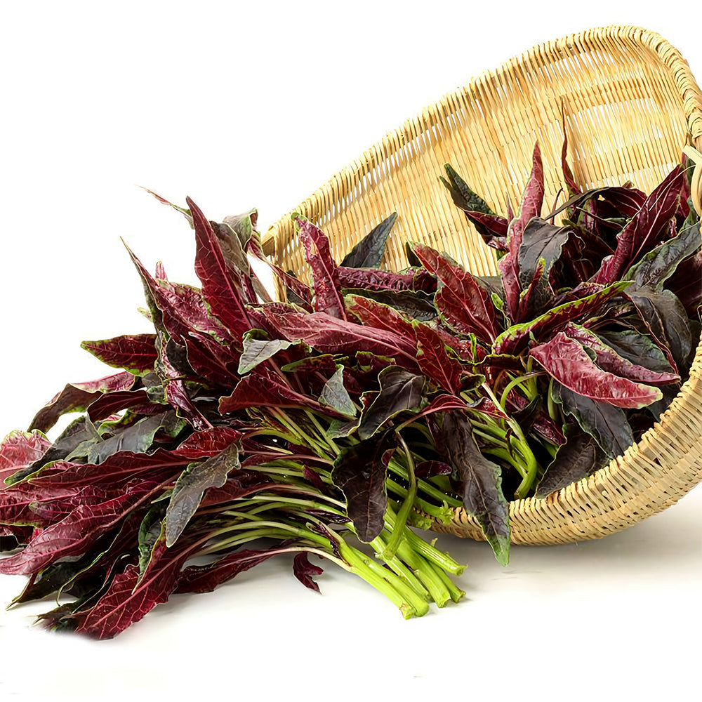 Edible Amaranth Seeds, Red Fine-leaved Vegetables