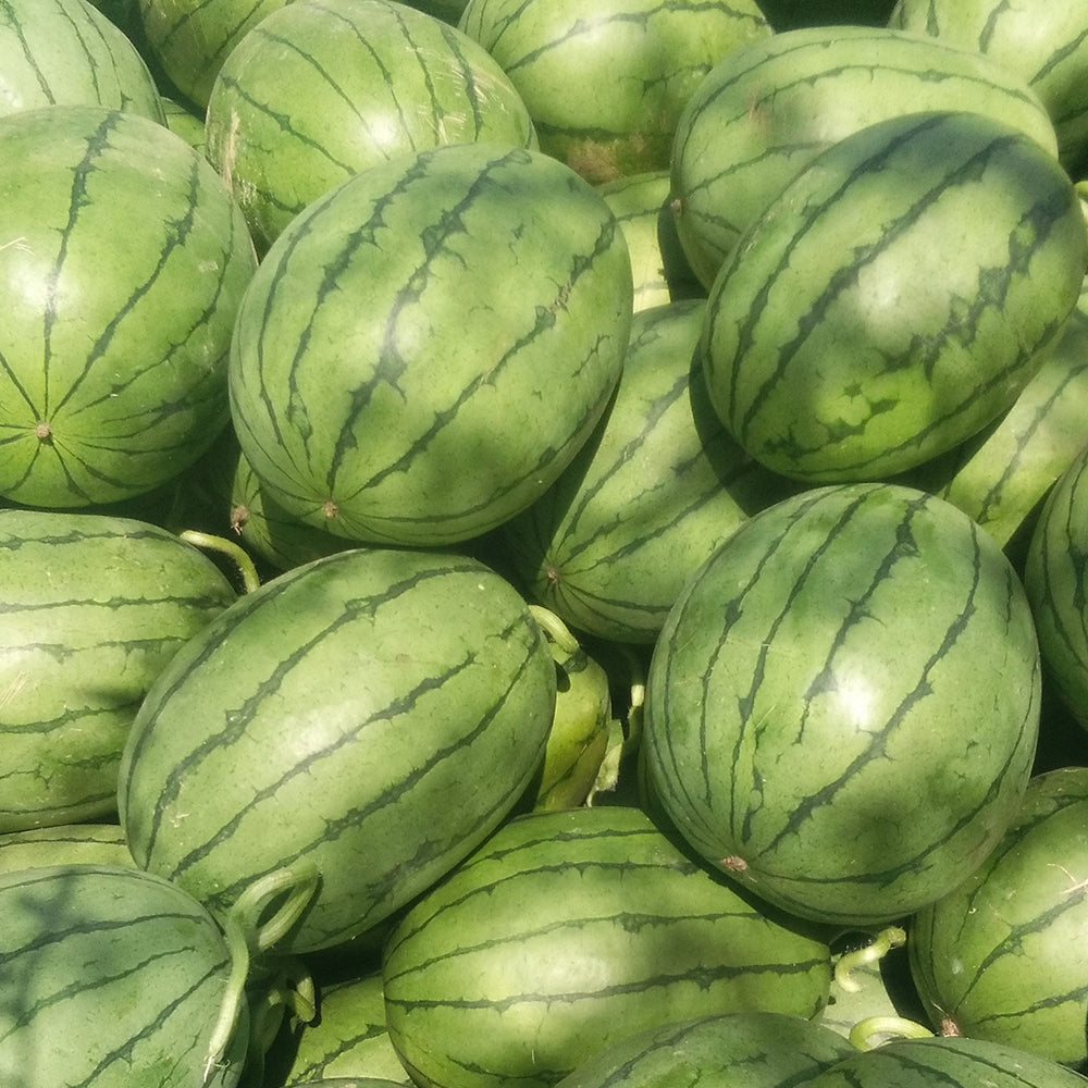 5 Bags (20 Seeds / Bag) of 'Xiaoyu Peeling' Series Watermelon Seeds