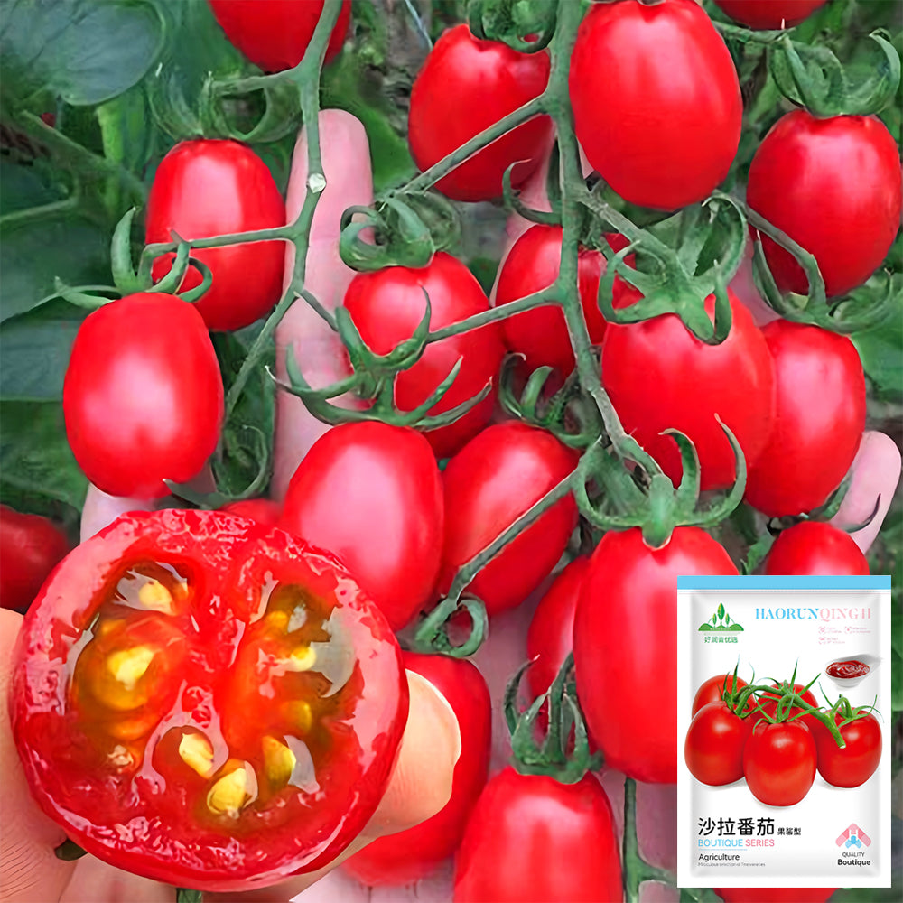 Jam Selection: 5 Bags (200 Seeds / Bag) of Top-Performing Salad Tomatoes