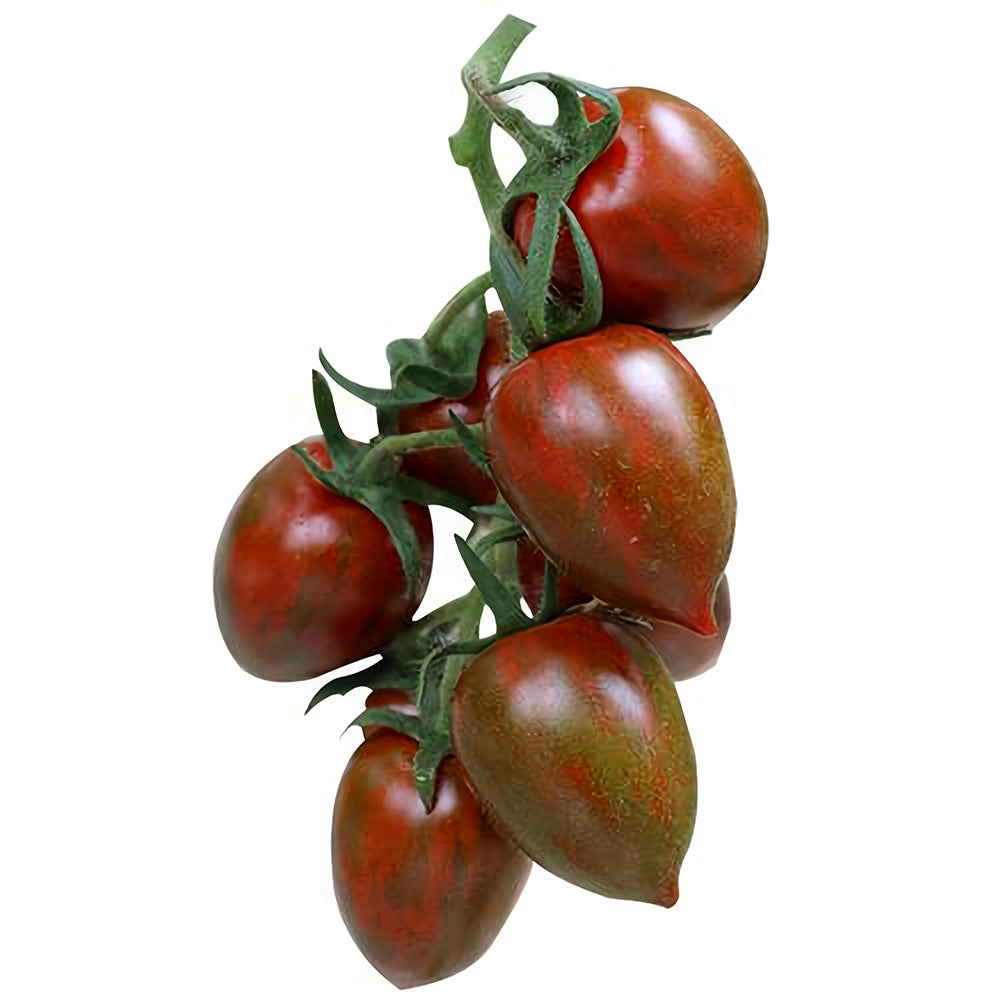 Peachy Perfection: 5 Bags (100 Seeds / Bag) of 'Strawberry' Tomatoes